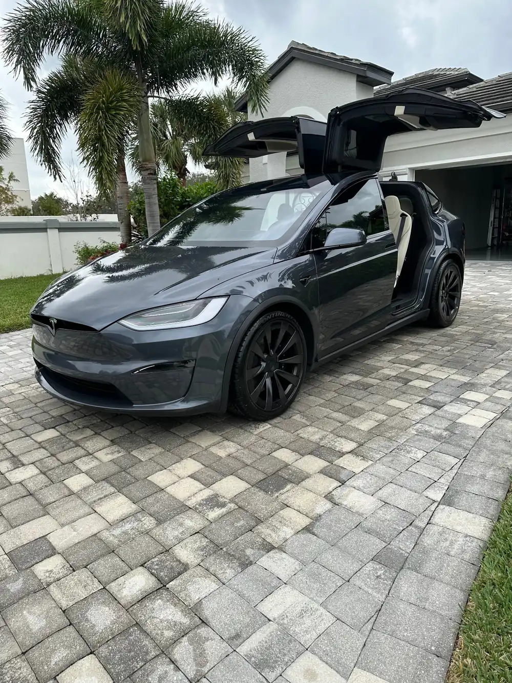Tesla detailed by Colombian Detailing